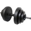 Dumbbell set met cement vulling 2 x 10 kg